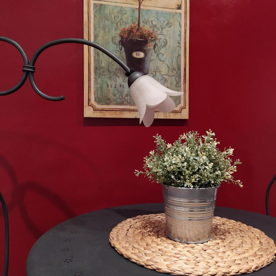 Alma Clara B&B Turin Extérieur photo